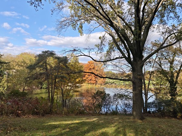 [紐約馬之行-13] 2025_1101 中央公園-眺望台城堡2945191