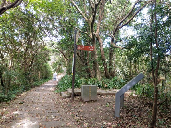 晴空萬里的硬漢嶺步道(觀音山)、凌雲寺往返＋原始土石山徑1489144