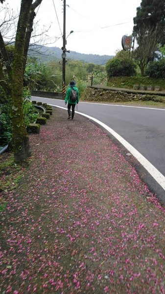 璀璨百年淡蘭古道～崩山坑古道、溪尾寮山、保城坑古道、虎豹潭步道O走1313428