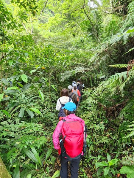 年輕人爬山趣～四分子古道、月扇湖山 4/8 20232153157