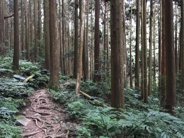 加里山鹿野線461351