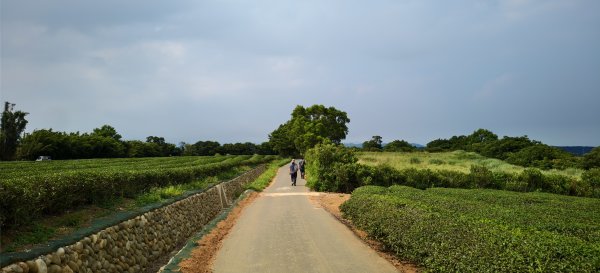 2025/08/17_三和晨光+石崎+背西步道O型2861585