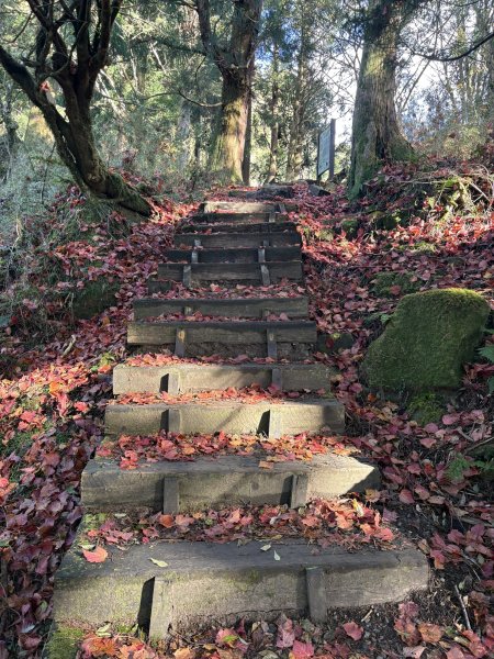 20251225塔山步道(大塔山)2970335