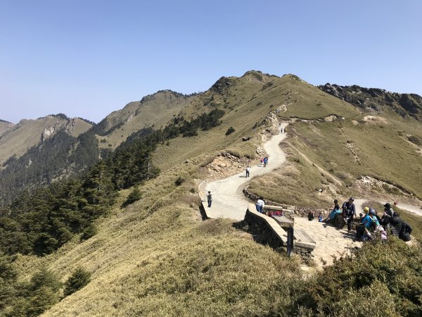 110年4月2日南投 合歡山主峰步道1433036