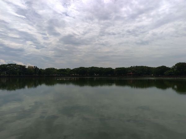 天鵝湖環保水上公園環湖步道405859