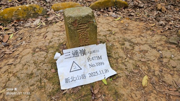 20260127三通嶺山.三義山(大桁茂山).慈濟山.大坪山大O走2989960