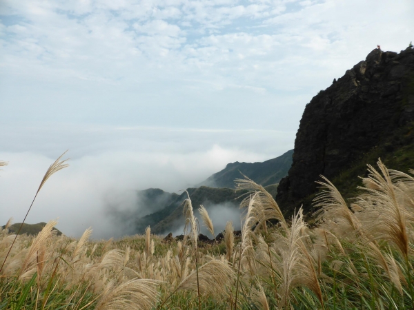黃金山城尋寶趣5499