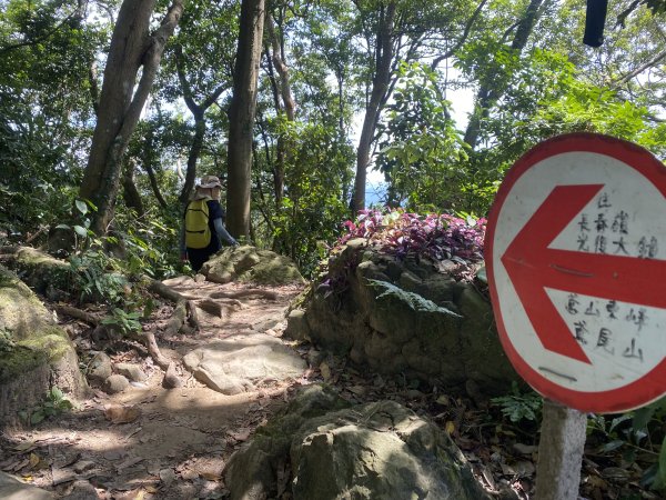 2025微笑山線大縱走尋寶集章任務-Ep.03【鳶山山系】鳶山彩壁段2893701