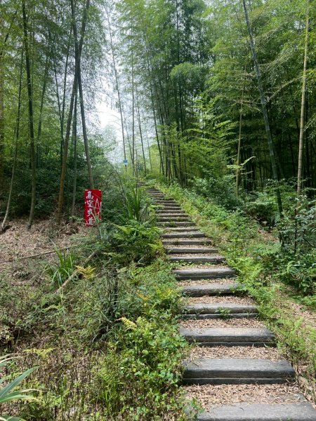 嵐山再古坑。五元兩角 木馬古道2806181