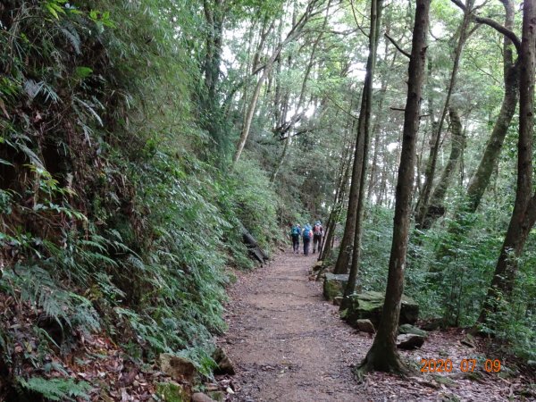 橫嶺山自然步道2020.07.091029050