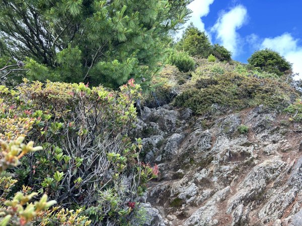 桃山3095919