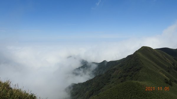 秋高氣爽芒花季 - 陽明山再見雲海1503949