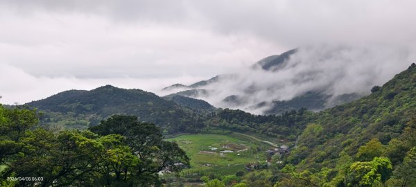 陽明山追雲趣 #天空之城 #石門嵩山梯田 #鳶尾花 #老梅綠石槽 4/5-63030184