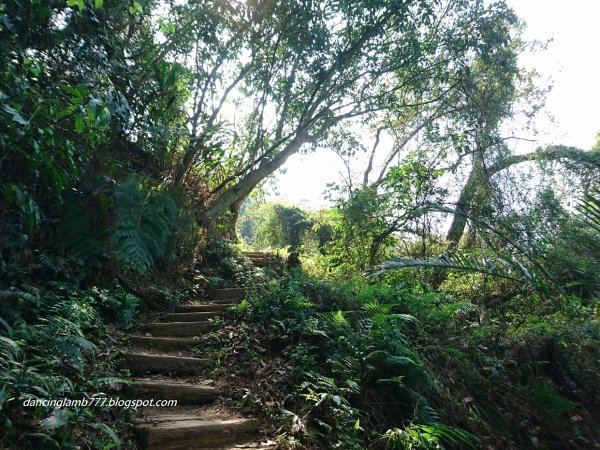 【桃園】溪洲山步道~ 眺望桃園台地小百岳1599297