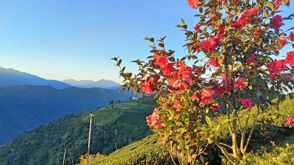 南東眼山之六眼縱走O型眉溪山 2021年12月31日1566249