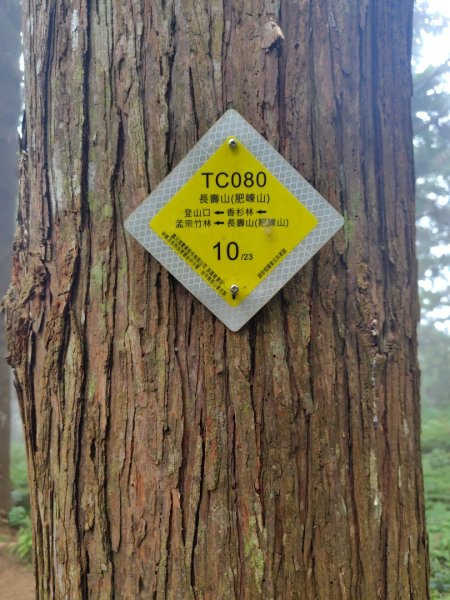 長壽山、肥崠山、醜崠山、大崠山、大崠山經建版2931627