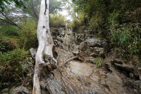 南投 信義 玉山前峰2352078