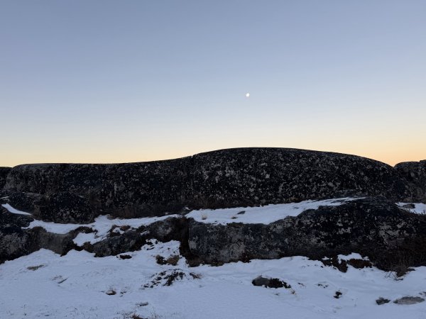 [紐約馬之行-41] 2025_1107 黃線步道-中2950619