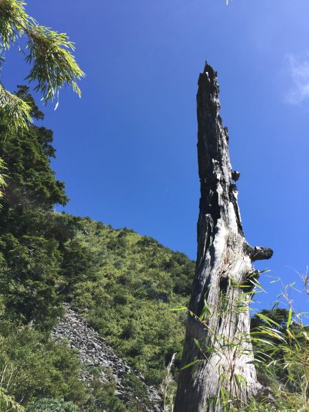 玉山前峰一日遊221005