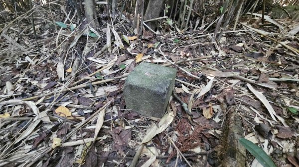 20251015木尾山-竹子湖水尾山-竹子湖西峰(騎車爬山)2915978