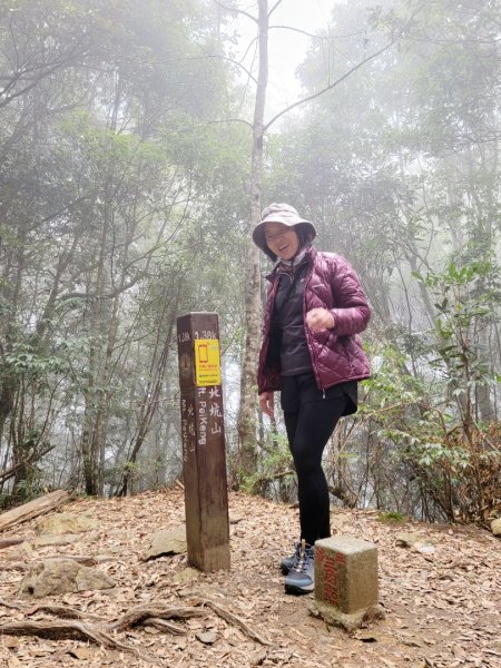 雪見大板根-202502222859806