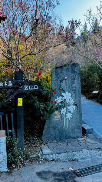 🌈1/4(日)來趣梅嶺~竹子尖山-獵鷹尖-一線天~梅子雞風味餐✨FB：熊熊趴爬走🌈2976815