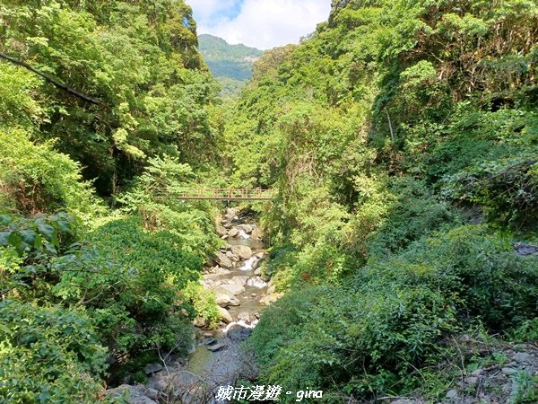 【新竹尖石】鳥鳴聲不絕於耳的蓊鬱森林。 與百歲白石吊橋之約。 霞喀羅國家步道