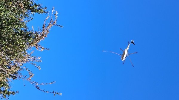 濟州島漢拏山-靈室路線上2942638