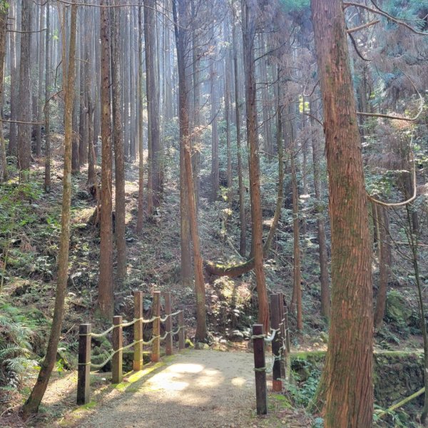 橫嶺山自然步道（木馬古道）1638188