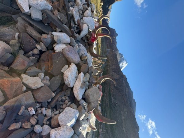 西藏-崗仁波齊轉山/珠峰大本營5200米2897712