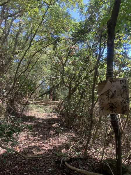 20250531屏東武潭山2803183