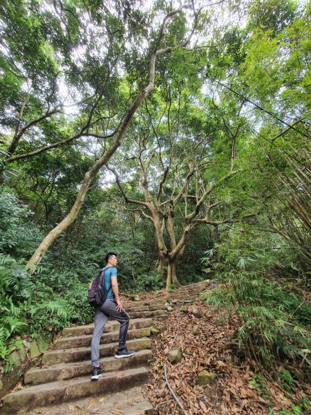 福隆山+硬漢嶺~雙步道連走956829