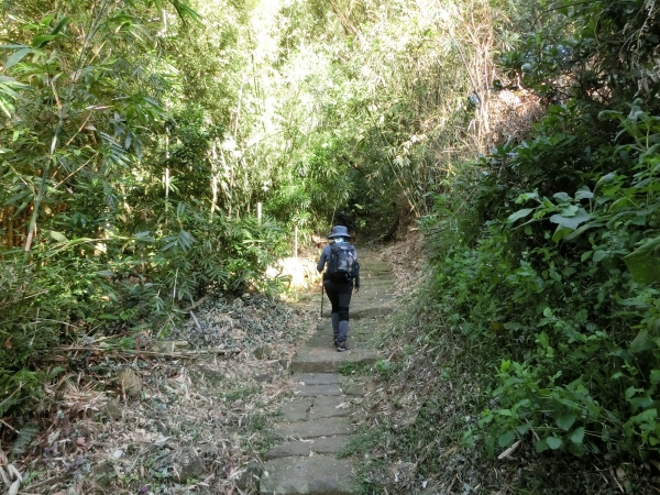 中正山．青楓步道．竹子湖93786