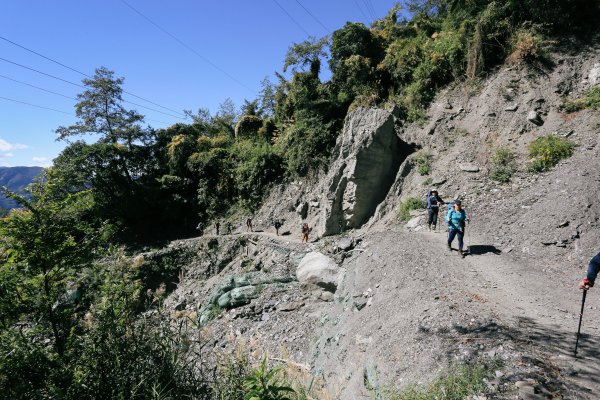 漫行百岳．最美高山草原‧能高安東軍1273671