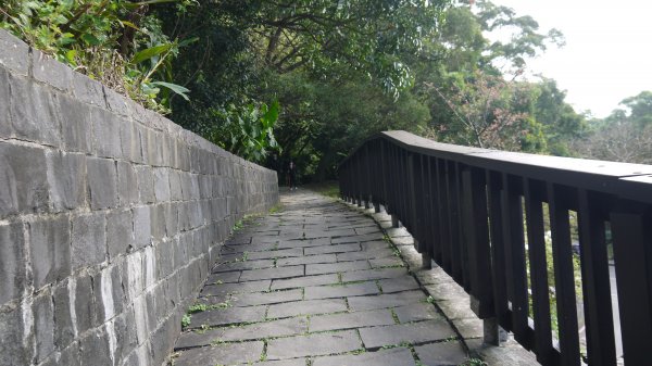 觀音山登山健行趣(小百岳05號)1632325