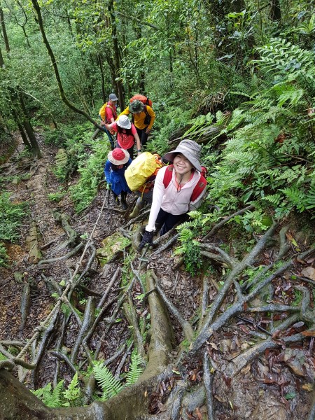 2017/05/20 北插天山（赫威山）