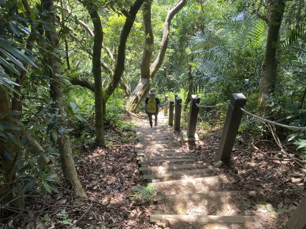 2025微笑山線大縱走尋寶集章任務-Ep.03【鳶山山系】鳶山彩壁段2893704