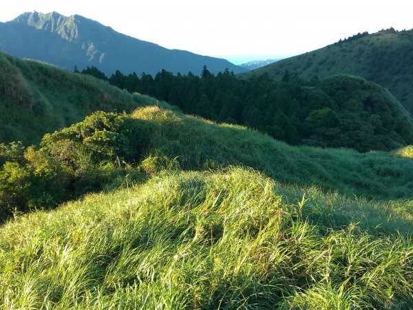 小油坑-七星山主峰-七星山東峰-冷水坑1056872