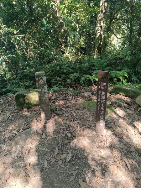 苗栗馬拉邦山2983710