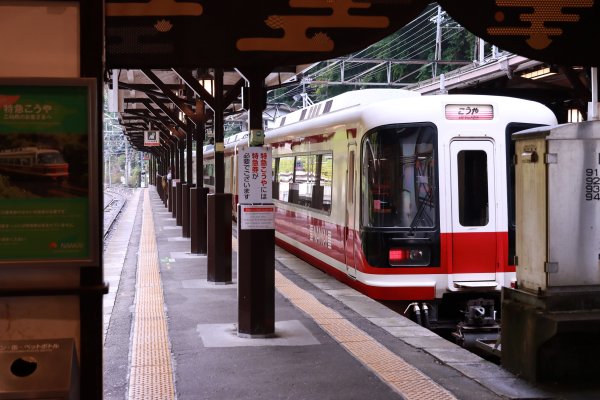 高野参詣道：不動坂に始まり祈りは奥の院へ2923222