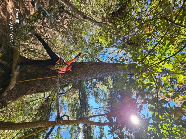 【谷關七雄】波津加(H1771.6m)肉腳配速成功2670442