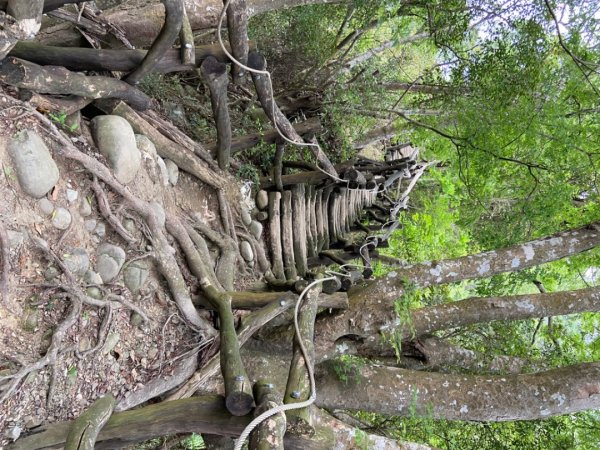 大坑2號原路來回2130463