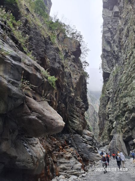 2025.02.08 限時秘境?菜市場? 北港溪峽谷步道2709054