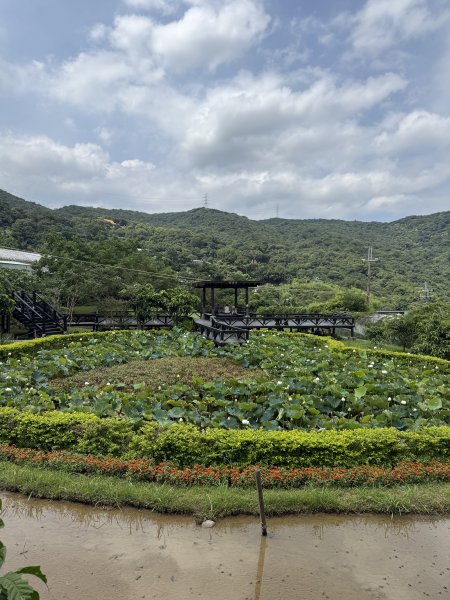 77台北大縱走第4段11506193126647