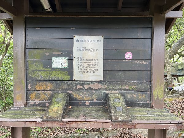 20230514-臺北大縱走第五段之巧遇藍鵲（碧山巖→劍潭捷運站）2150873