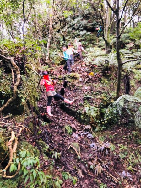 整理往平溪峰頭尖的山路2834682