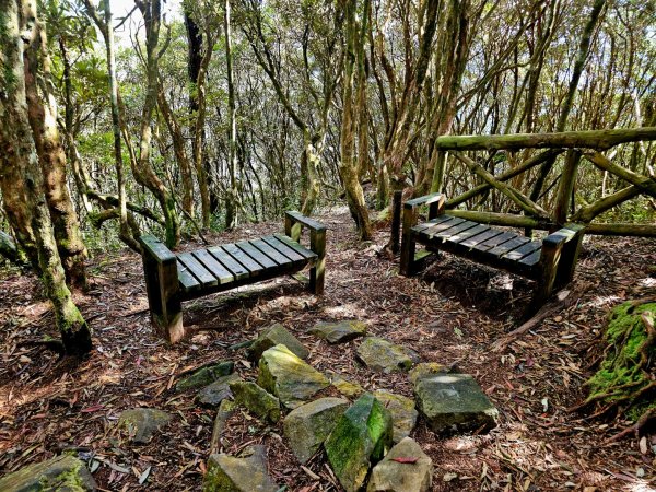 橫嶺山步道 - 2024年最有意義的山2653702