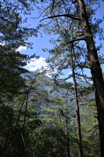 谷關七雄-馬崙山1st2888302