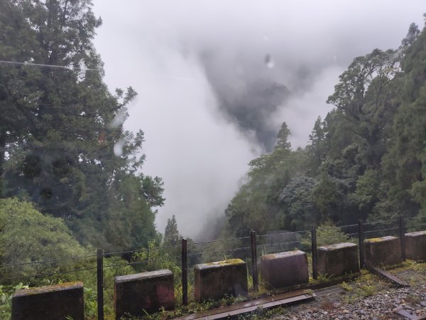 阿里山森林小火車2865036