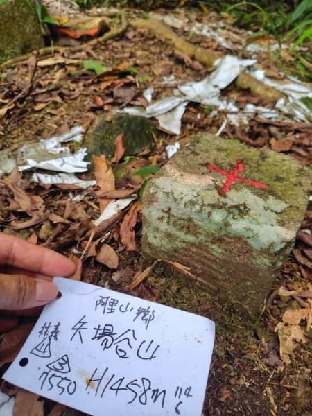 矢場谷山連走勃子山2805067